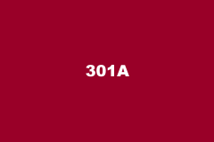 301A