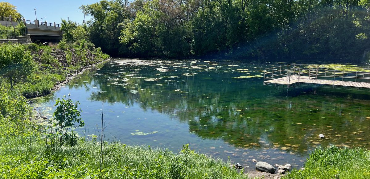 Mill Pond at Memorial Park (May 2024)