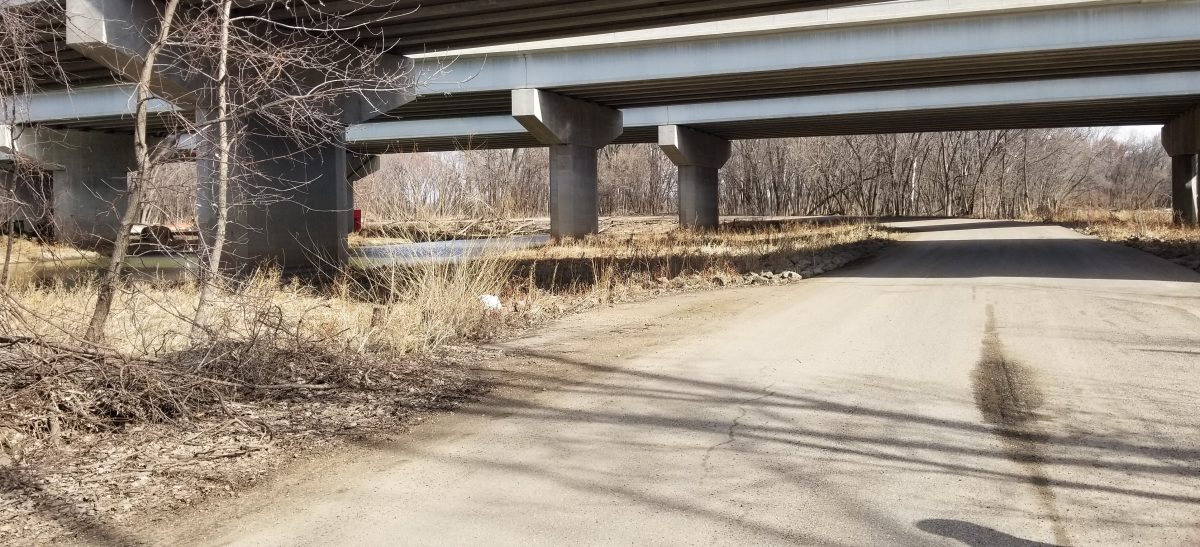 Road leading to Bloomington Ferry Bridge (March 2021)